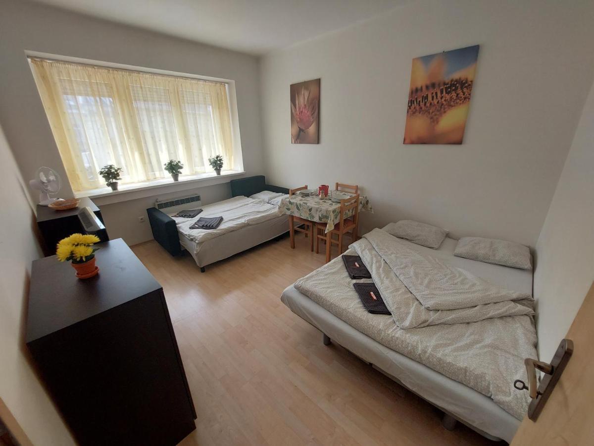 Apartman V Centre Bratislavy Apartment Bratislava Ngoại thất bức ảnh